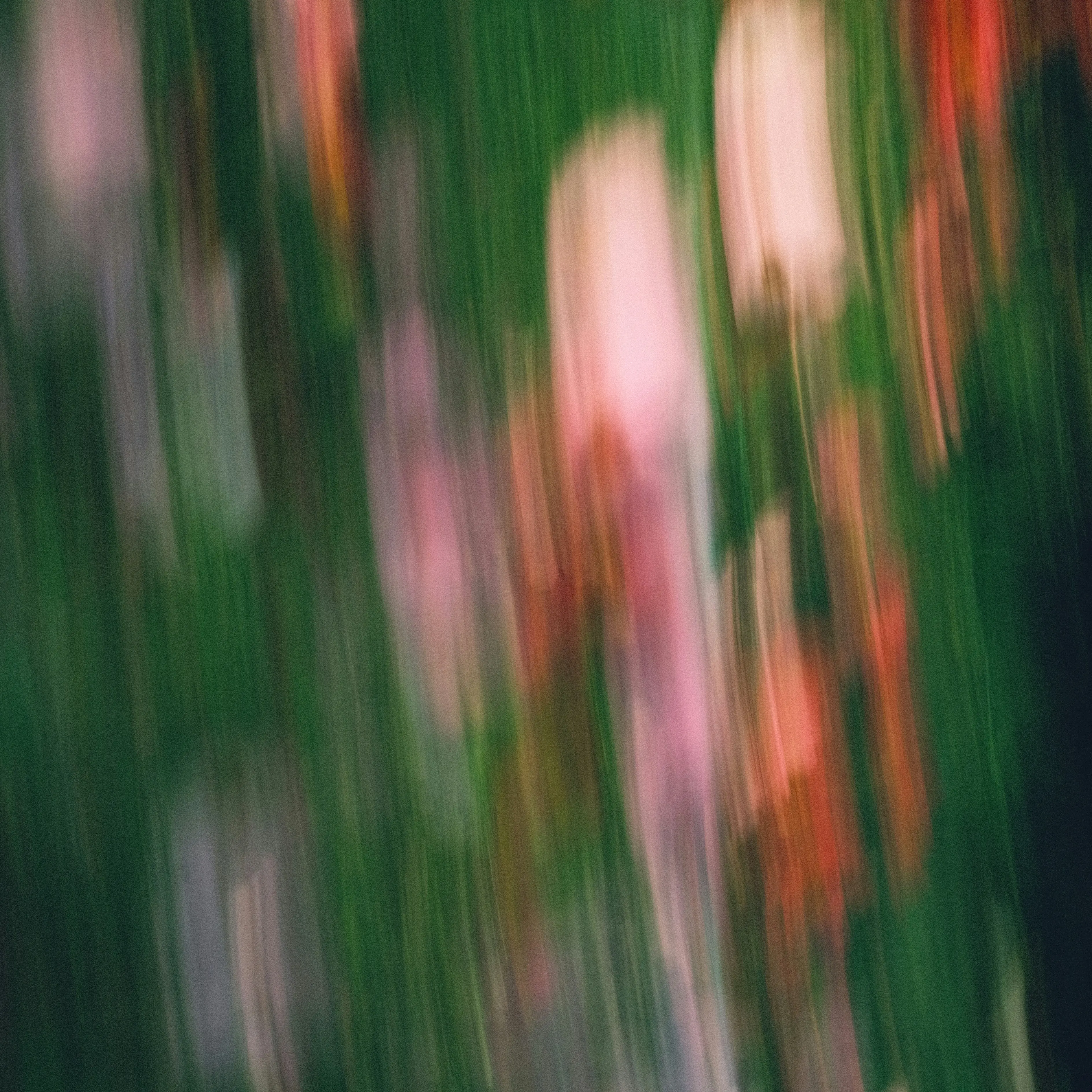 brokenrice의 친구