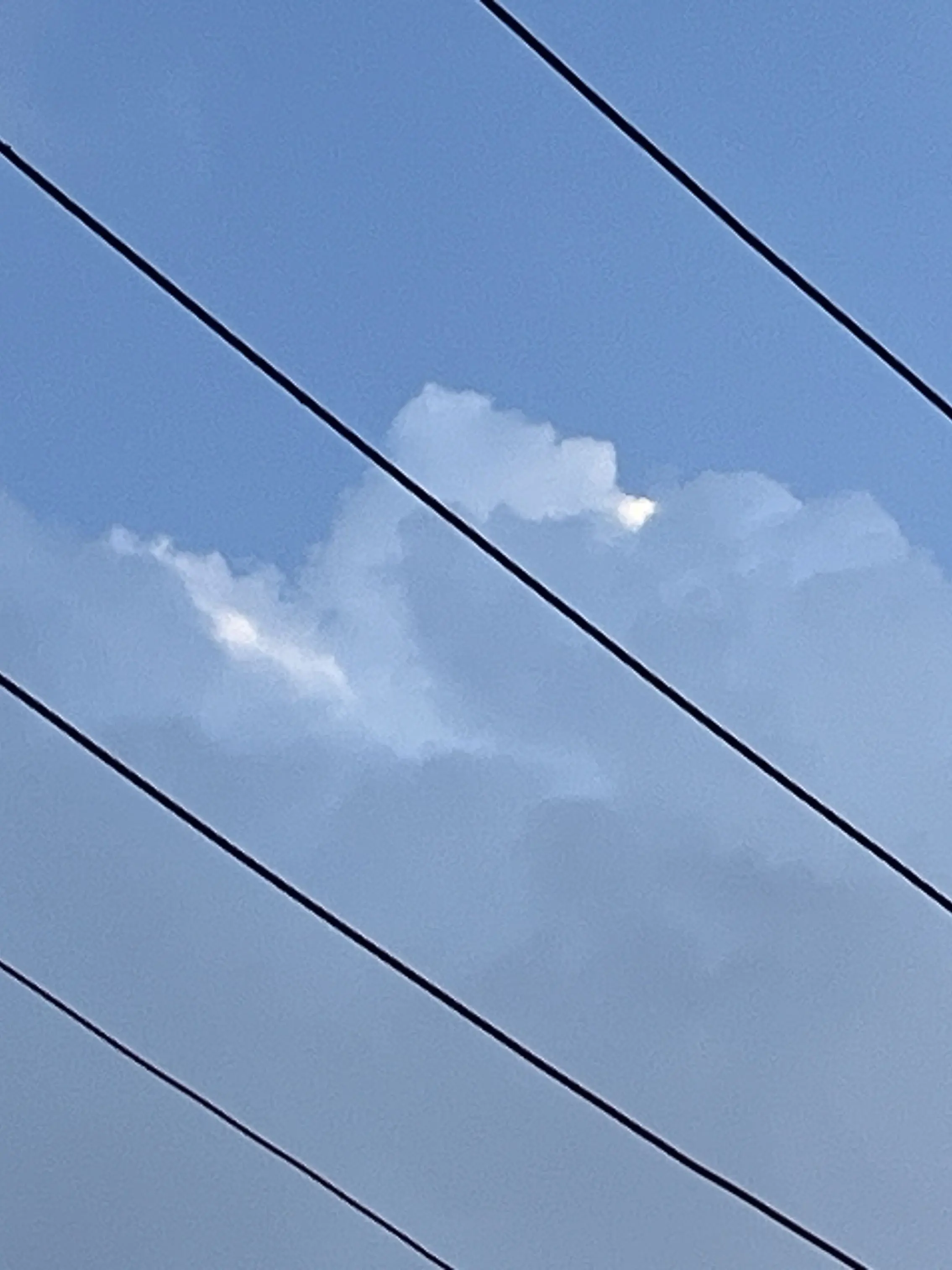 RipeCity9589의 최 최 남친 2명