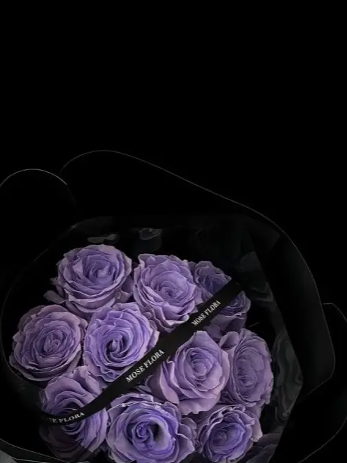 knt_hbr_zeffiro의 お隣さん