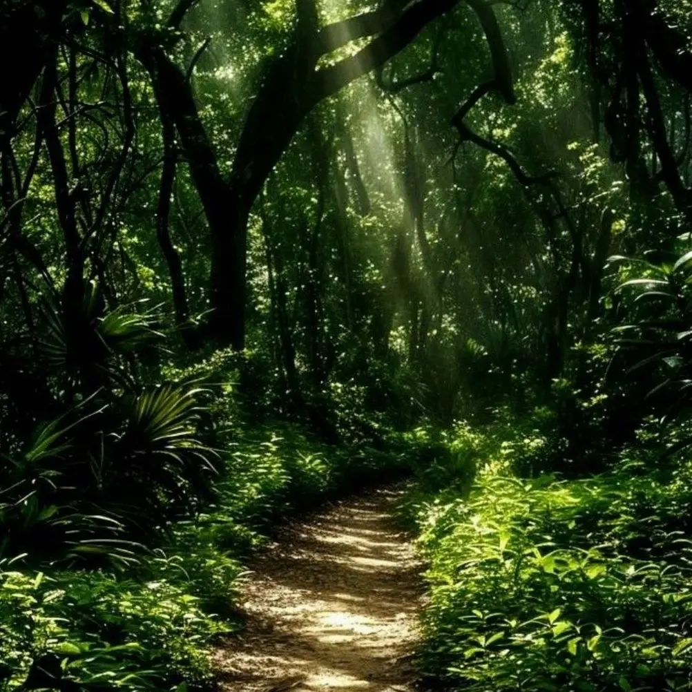 .wonderhoi의 안 잡아먹는다니까~?