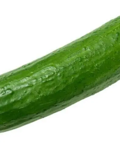 BrownLoris0795의 🥒