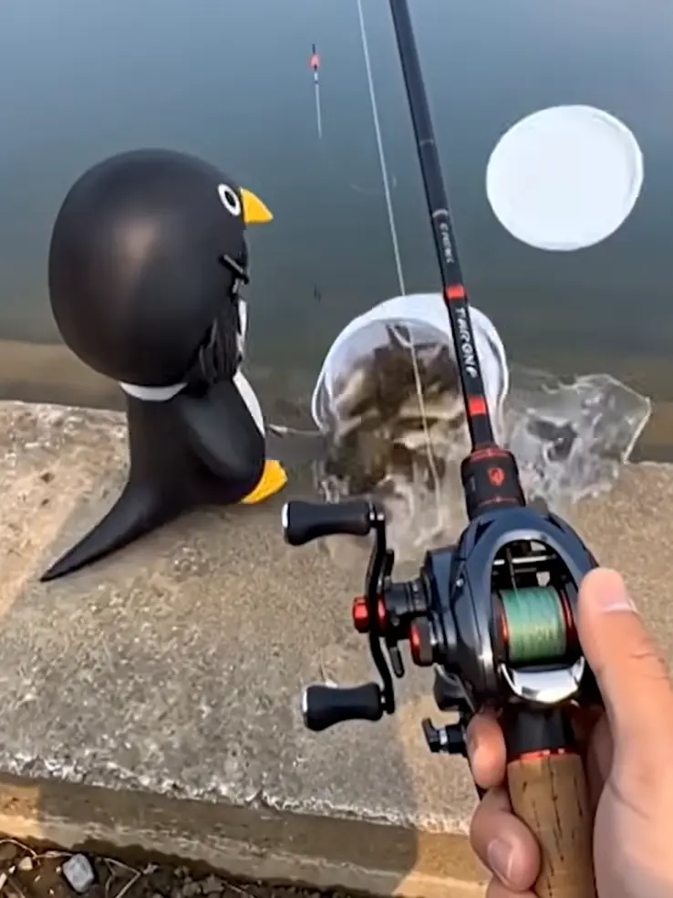 gugugaga_kurumaplot의 ググガガが魚をリリースしやがった