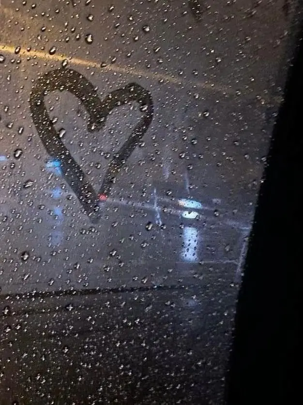 plant___0x0의 現在、貴方溺愛注意報、発令中ᡣ𐭩⊹