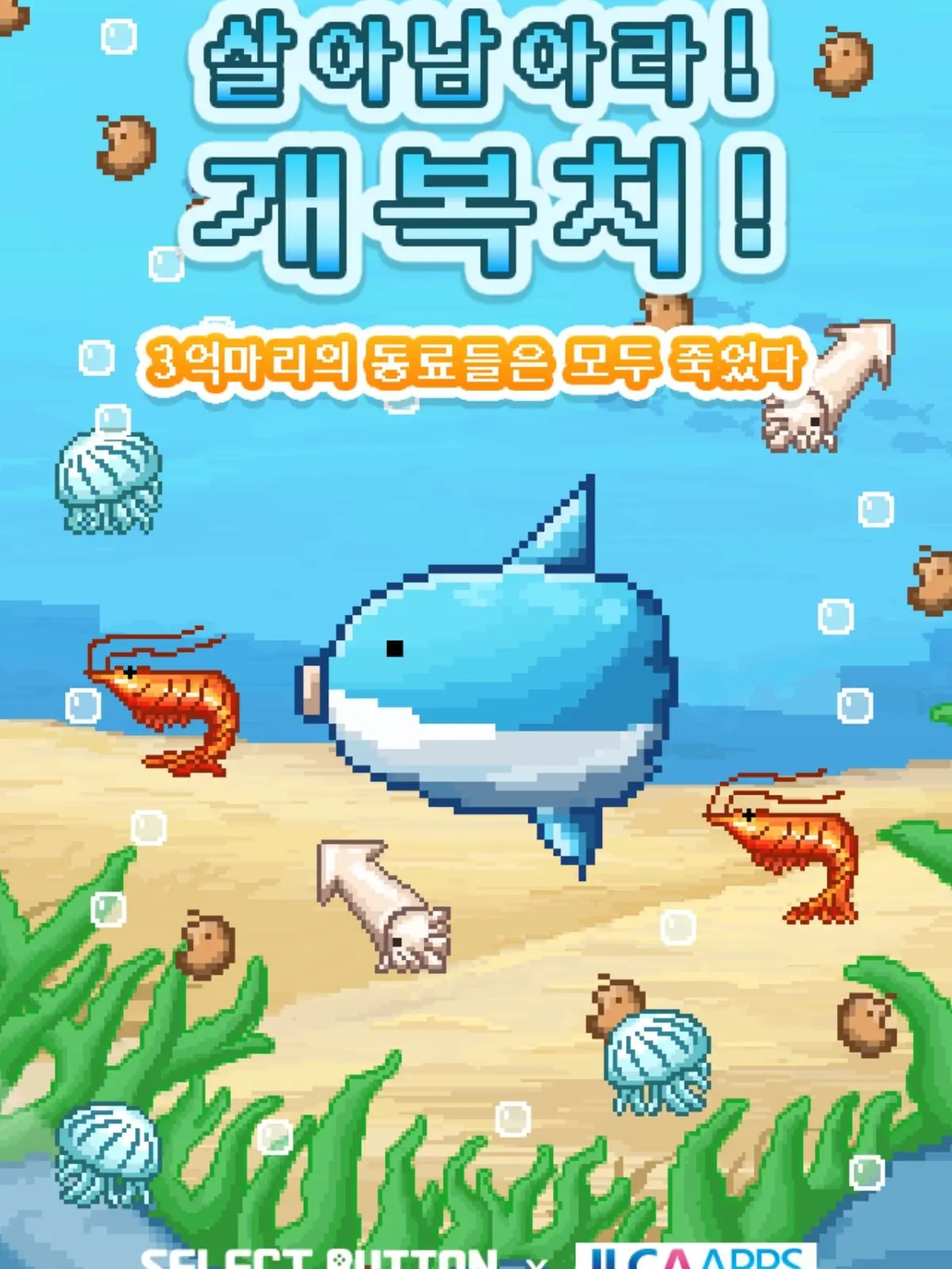 PointyPlank4087의 개복치 총집합!