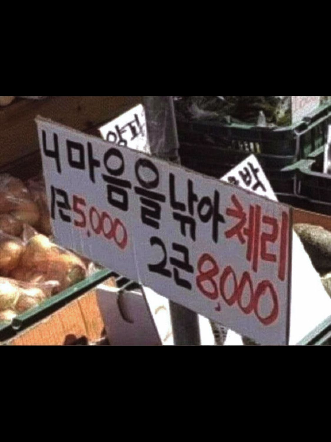 마. 뭐하노? 대표 이미지