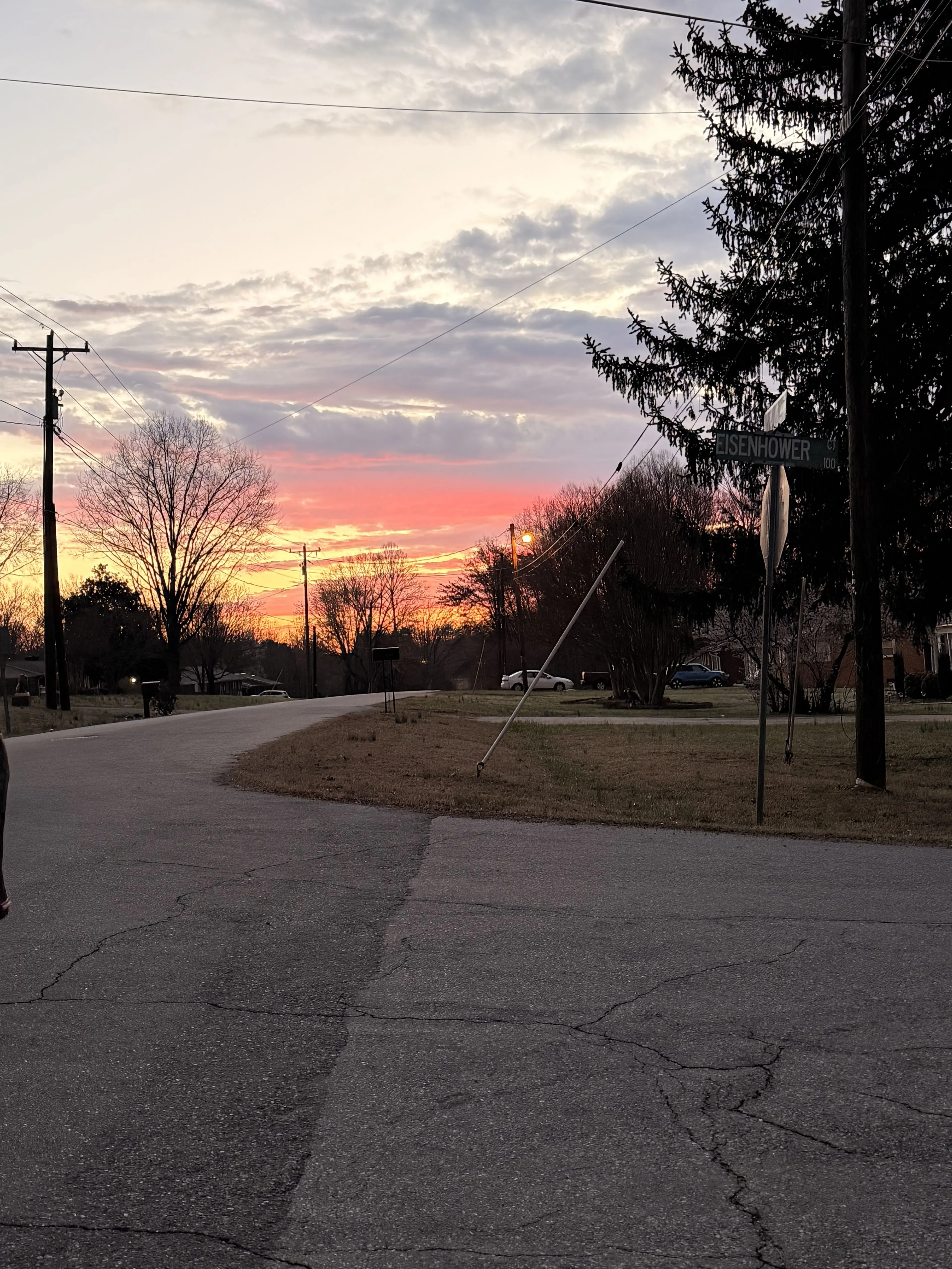 Inter-st3ll4r의 Jiji Hallman