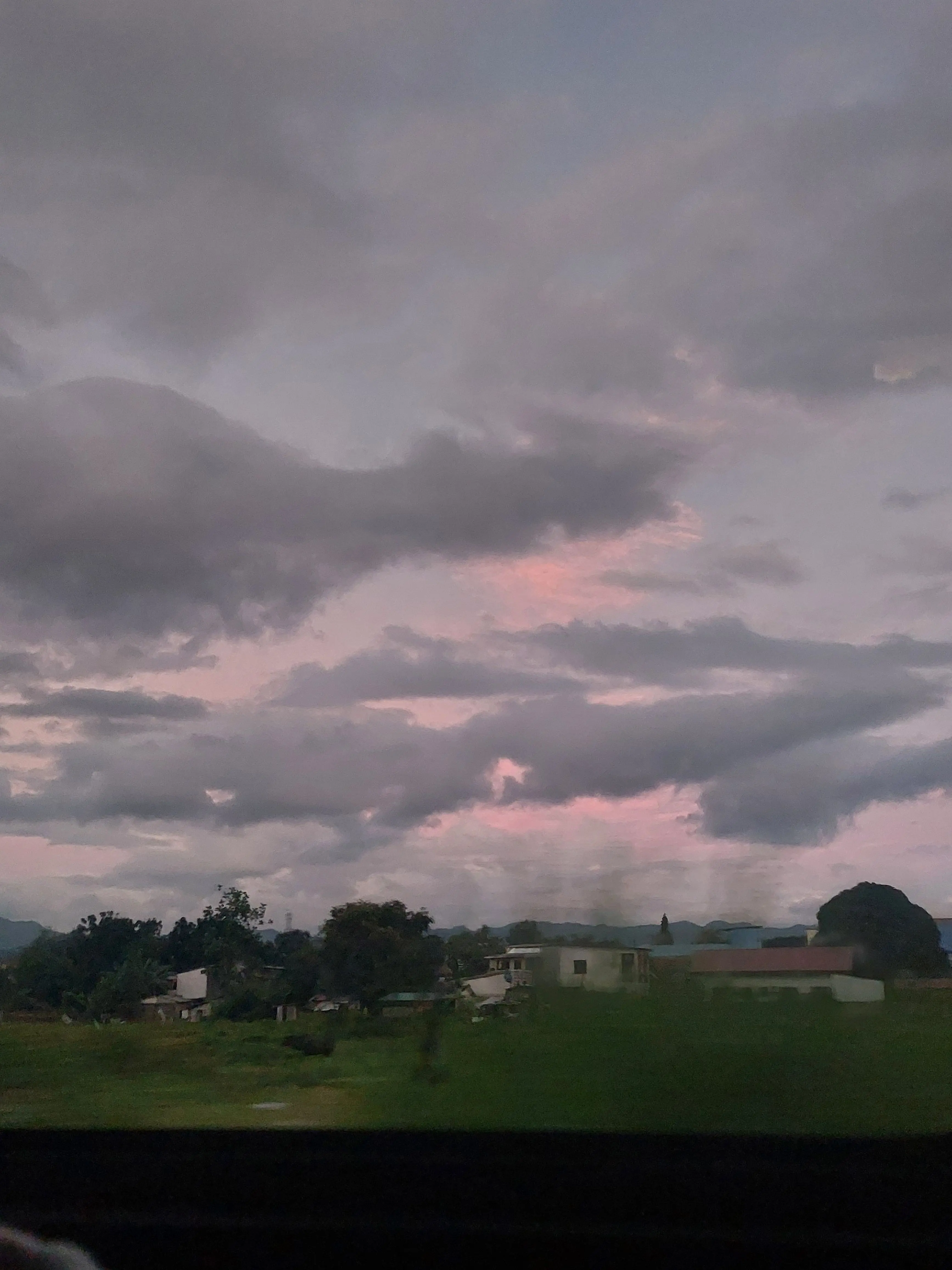 RuggedChest2934의 킬러들과 여행...