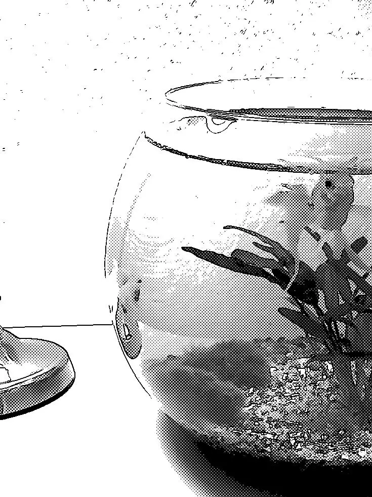 2gg의 亂倫