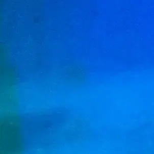 LemonyNail7021의 犬猿にゅ~ぎゅ~ぱろ