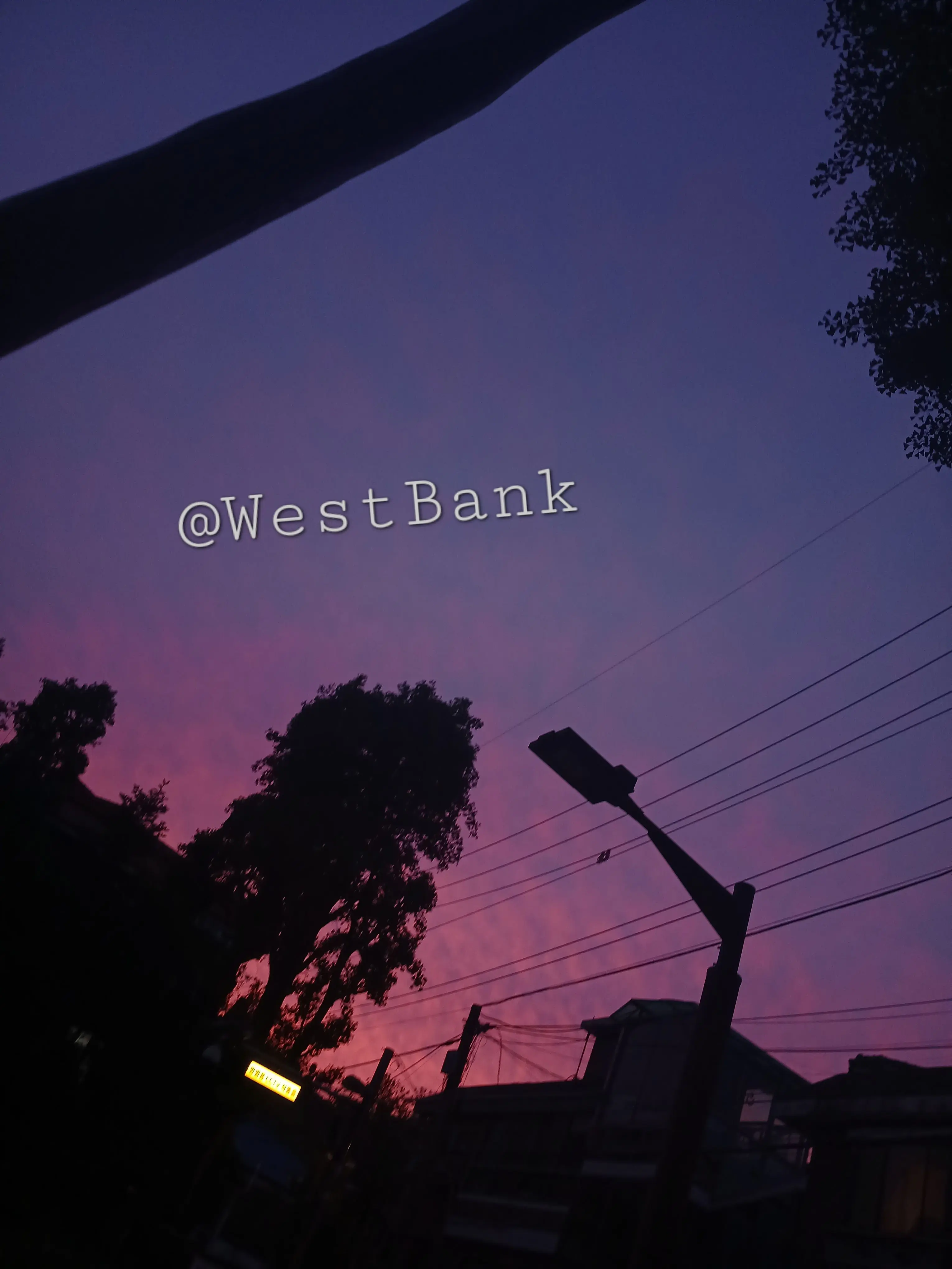 WestBank의 마음대로 세계관