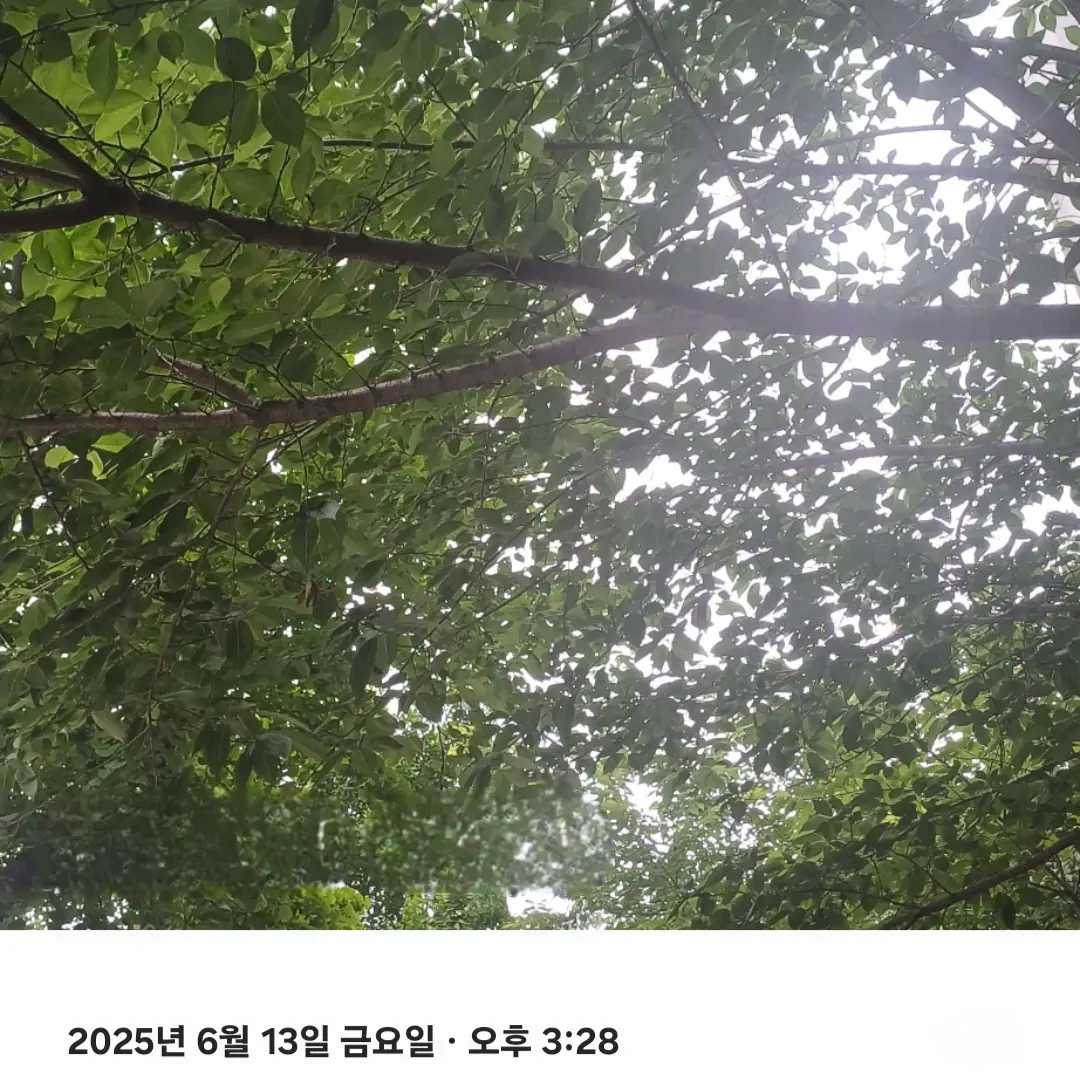 SmokyMiner2662의 4명의 비서들