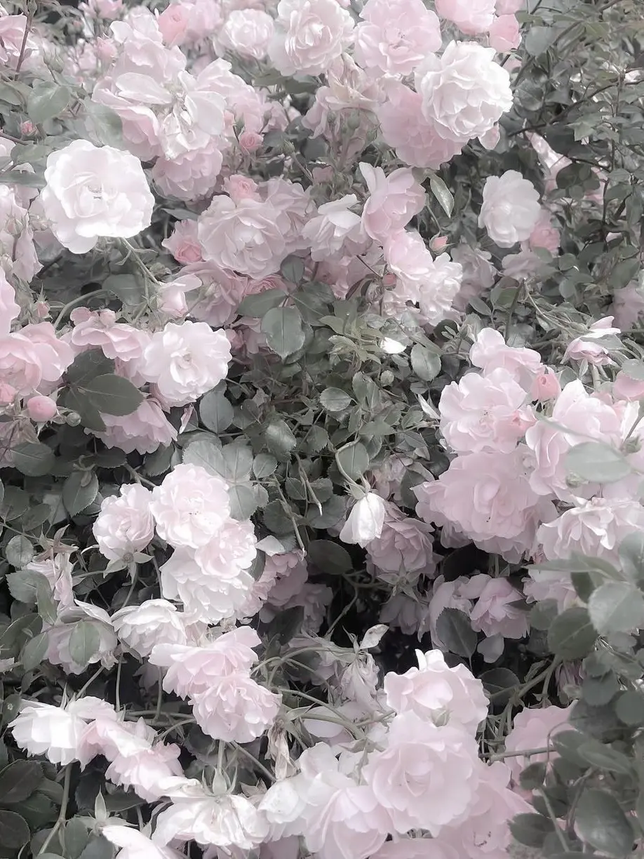 fu_.a02의 ︎︎◝✩