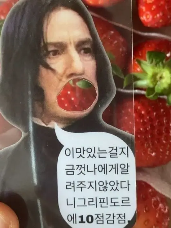 Apenai의 로판 하이큐!