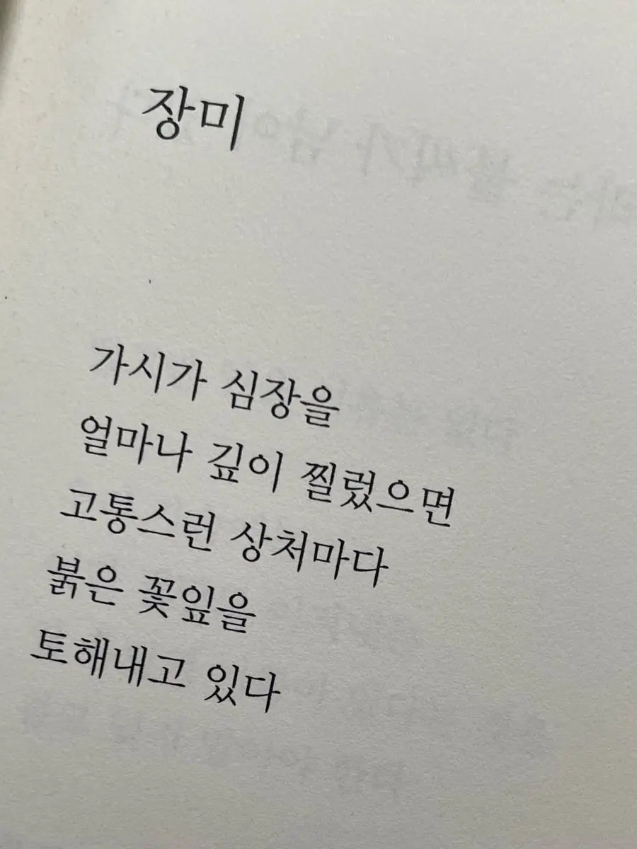 Kiraizuru의 백화요란