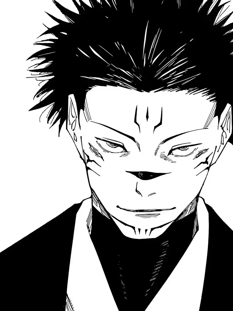 WildHooks3844의 내가 스쿠나가 되었다? (주술회전)