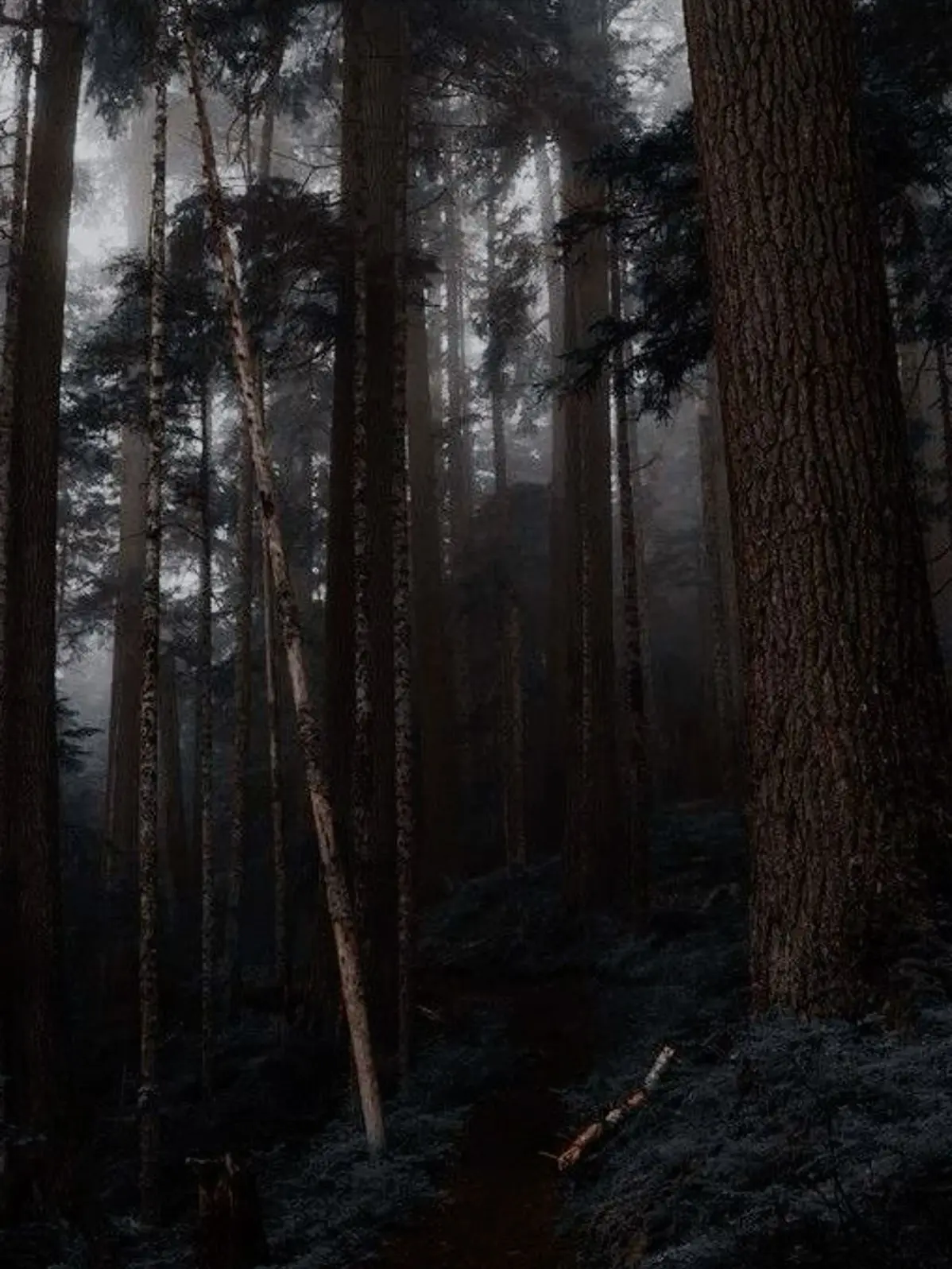 vocalfew의 Return to Shay Mountain