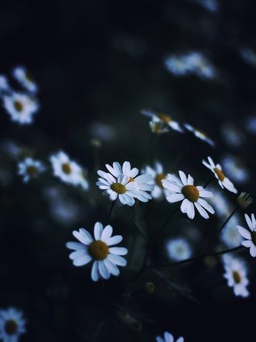 선배, 내만 챙겨주는 거 다 안데이- 대표 이미지