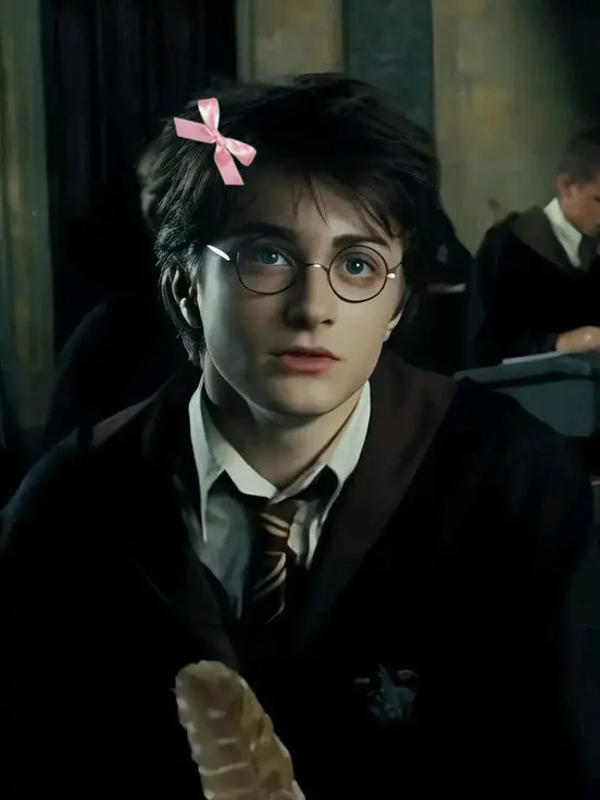 Sara_jjkl123의 Harry Potter