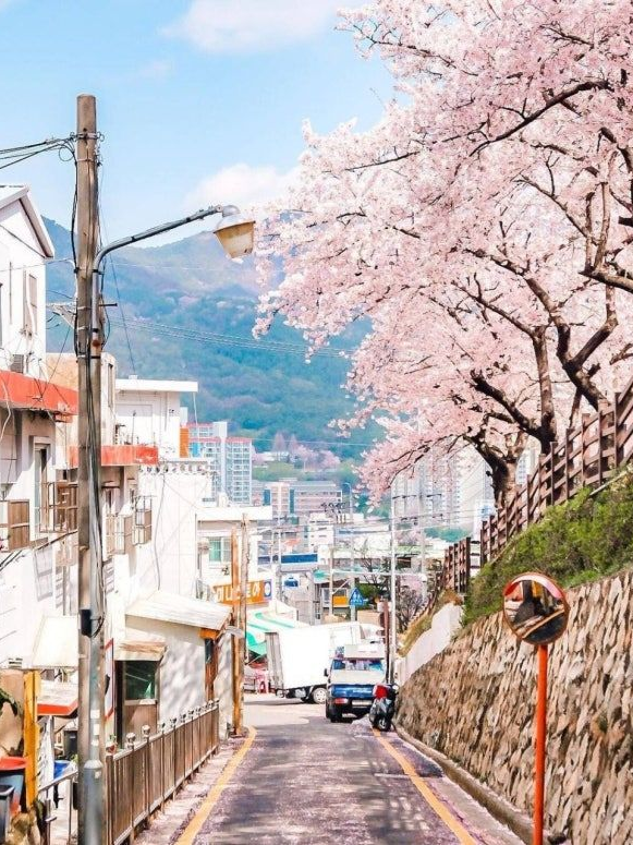 계급학고 남여무리♡ 대표 이미지