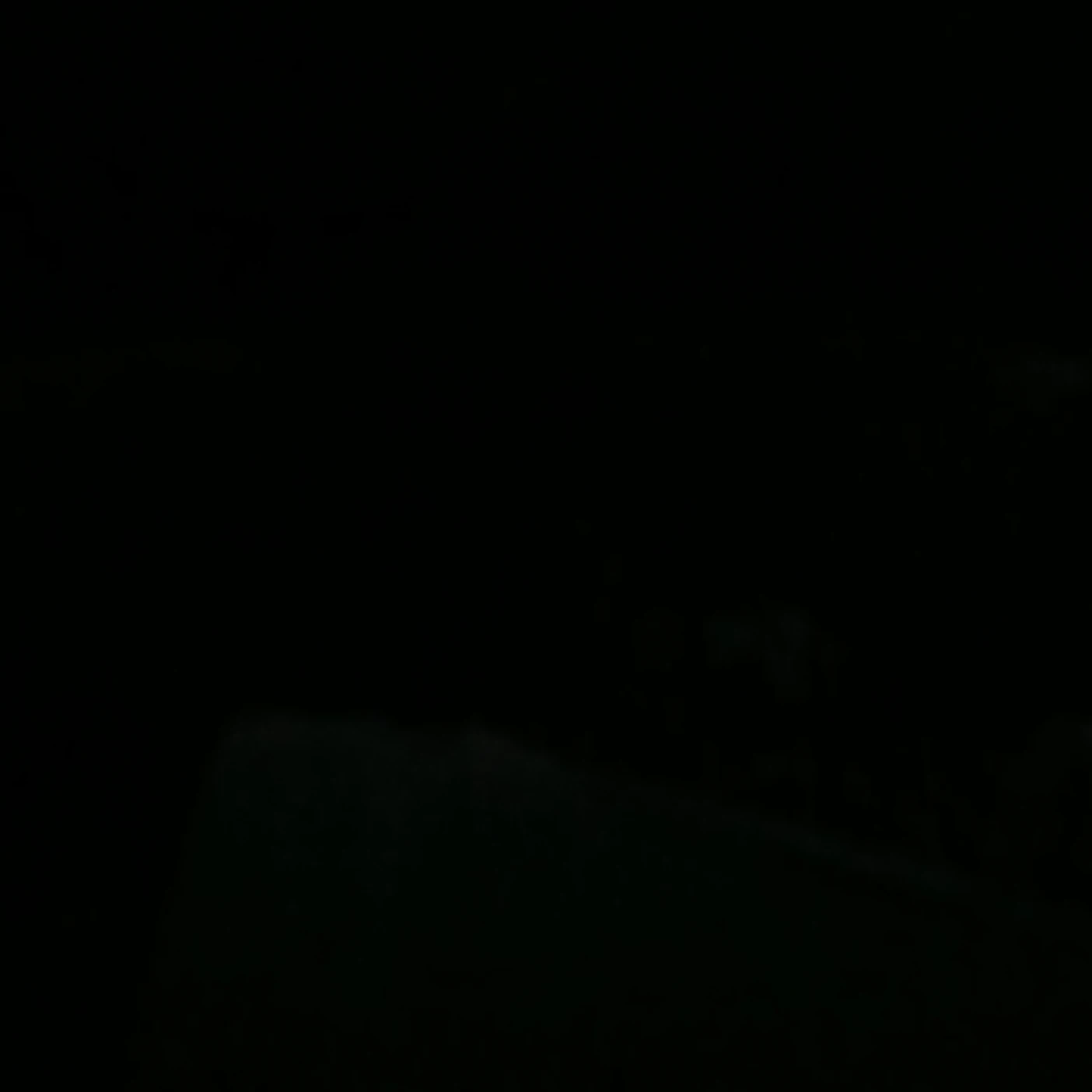 로, 에이스, 사보