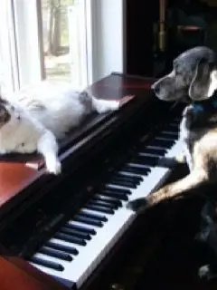 08_dielws의 포핸즈