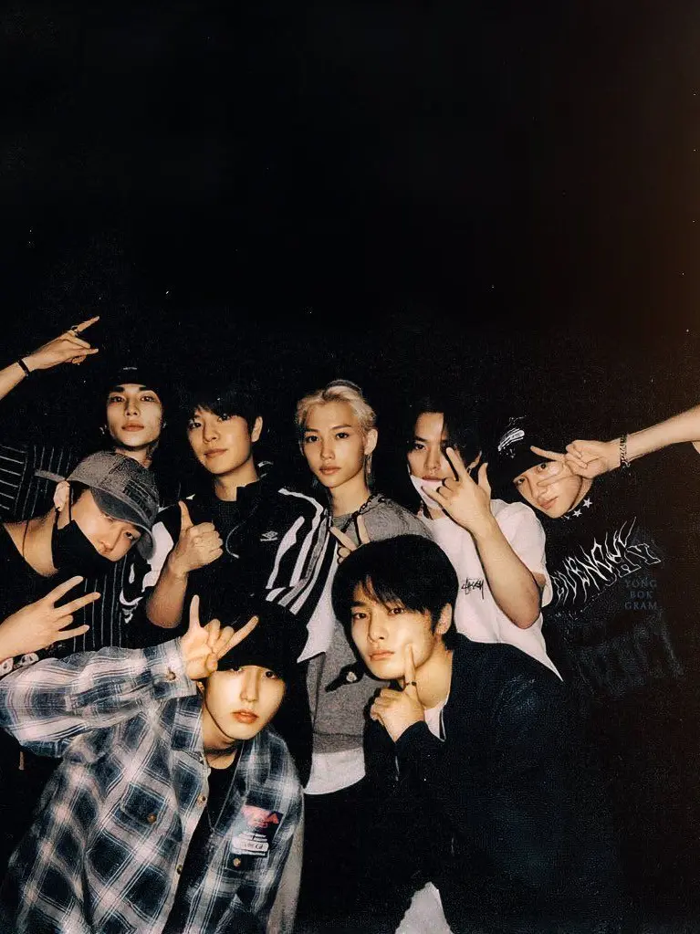 florenceearth의 SKZ—Pick me member (again.)