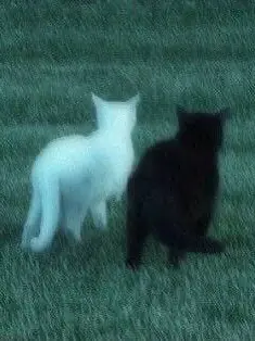 kiru595775의 신혼부부
