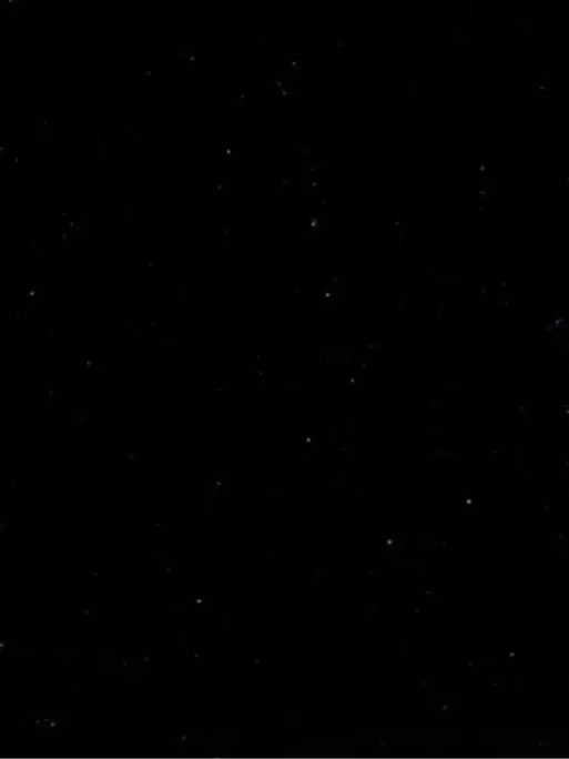 NMIXX_21의 오해원