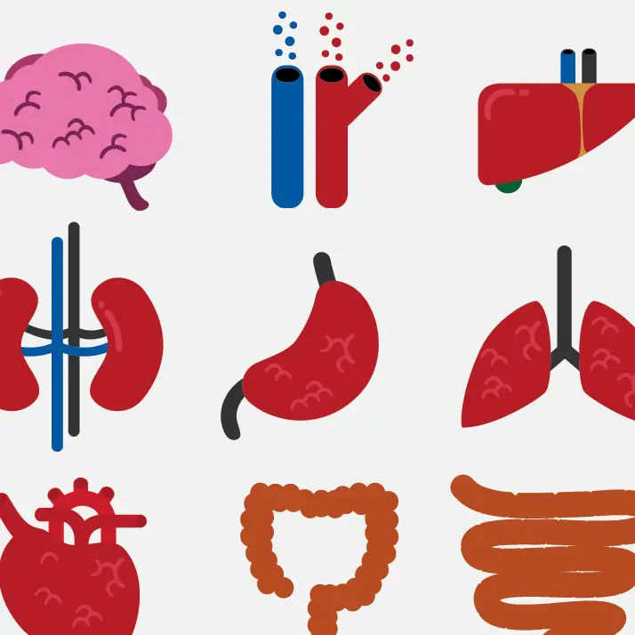 VocalJoy3315의 장기 체험