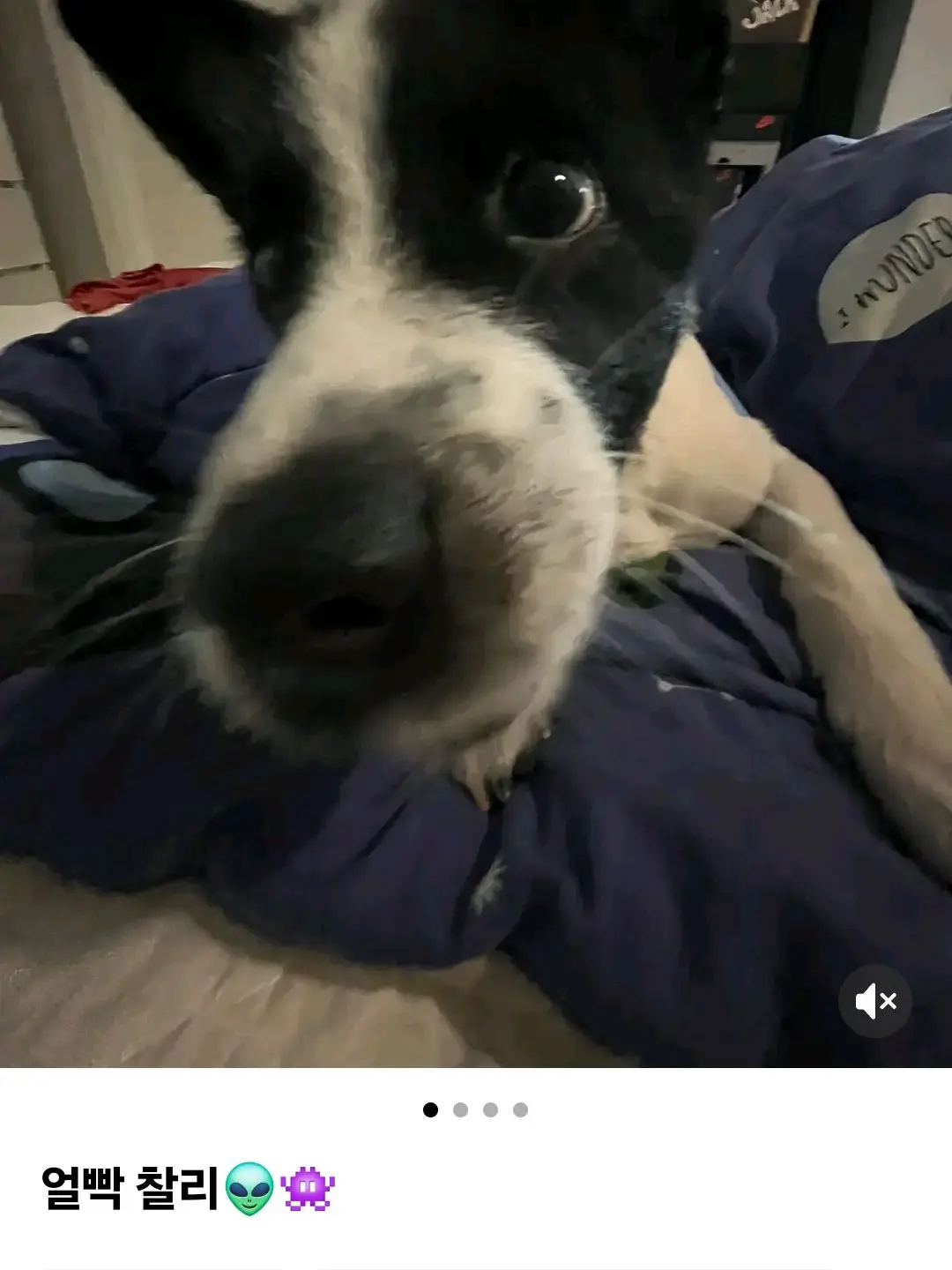 RichFresh6284의 평범하지 않지 않은 일상