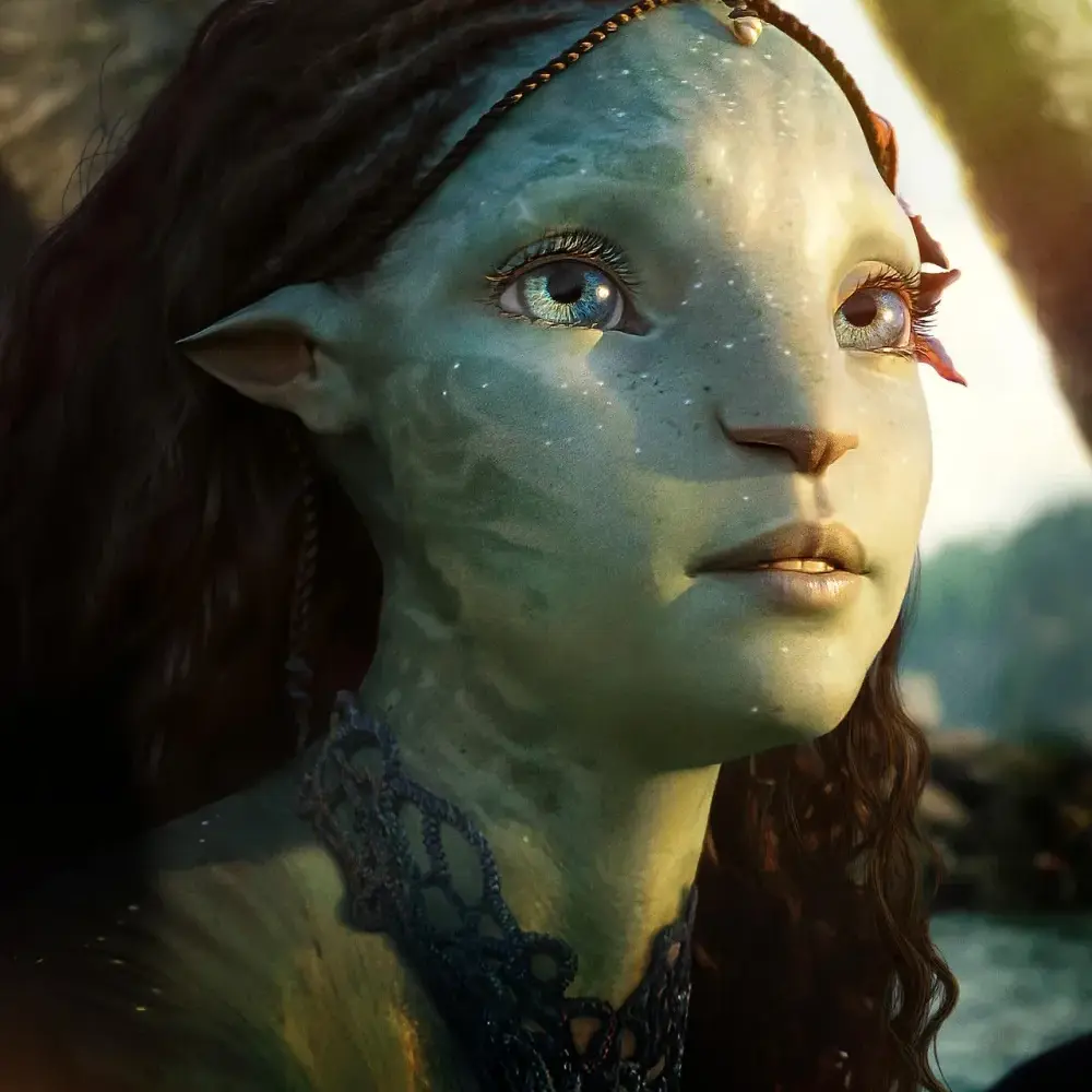 800sto0403의 츠이레야