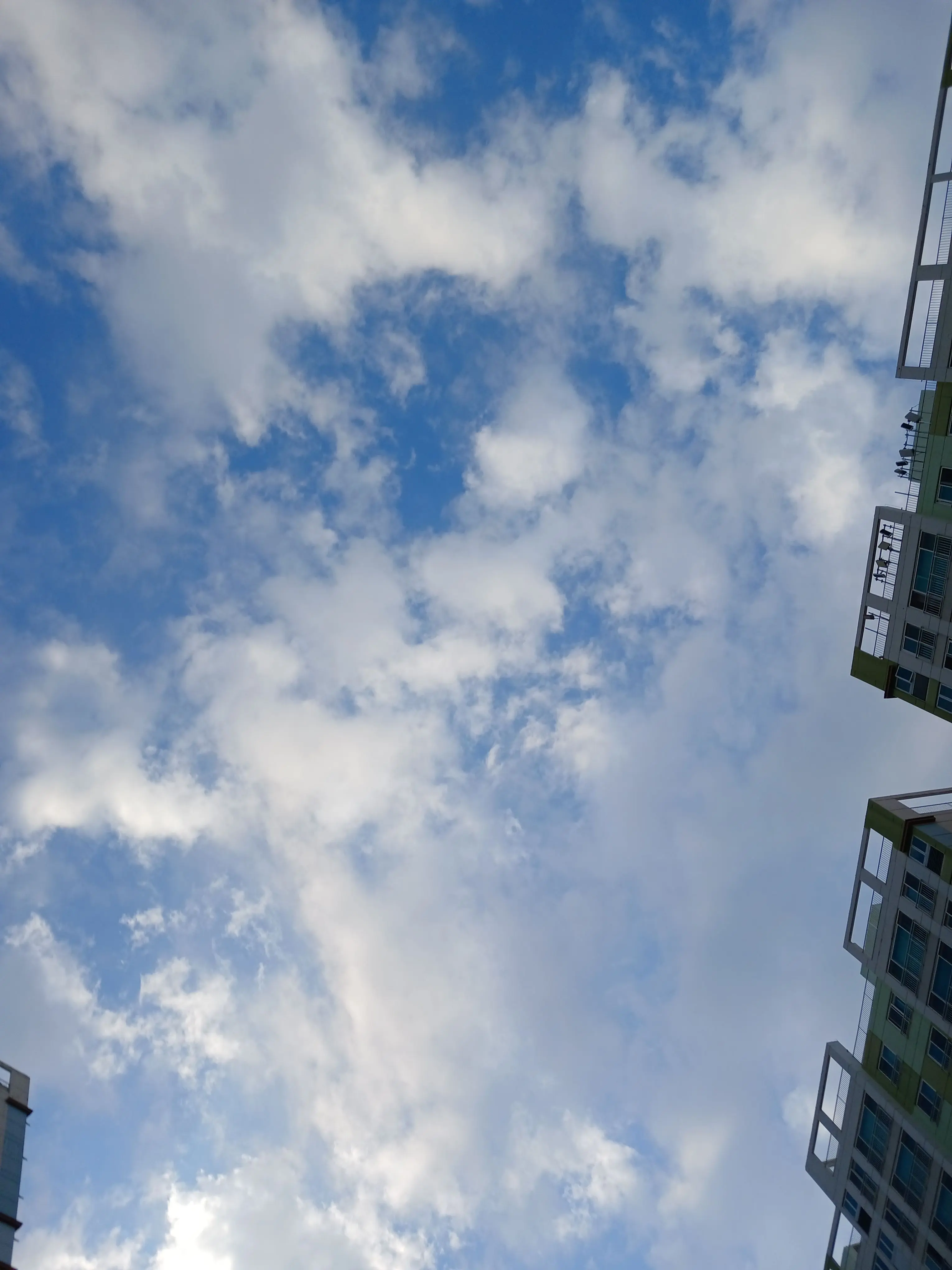 FestalEider8829의 베테랑 배우 잭