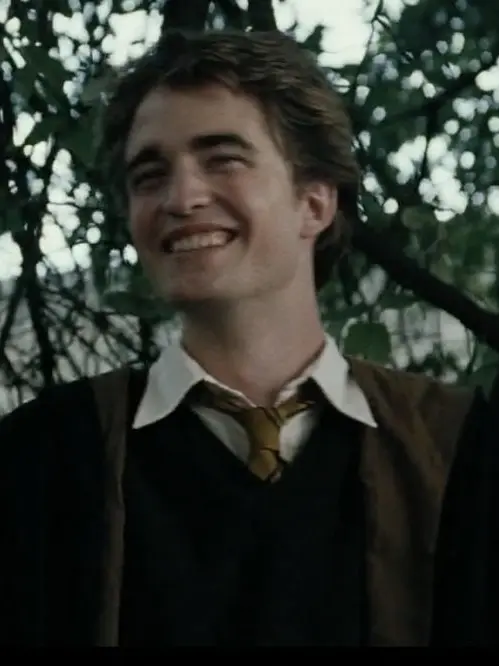 NarrowPie1934의 Cedric Diggory