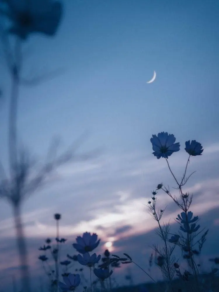 ToughLime3052의 わからせられる