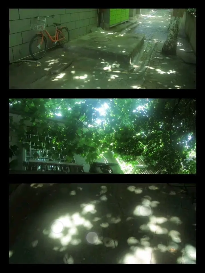 Woo_0120의 夏、青春。