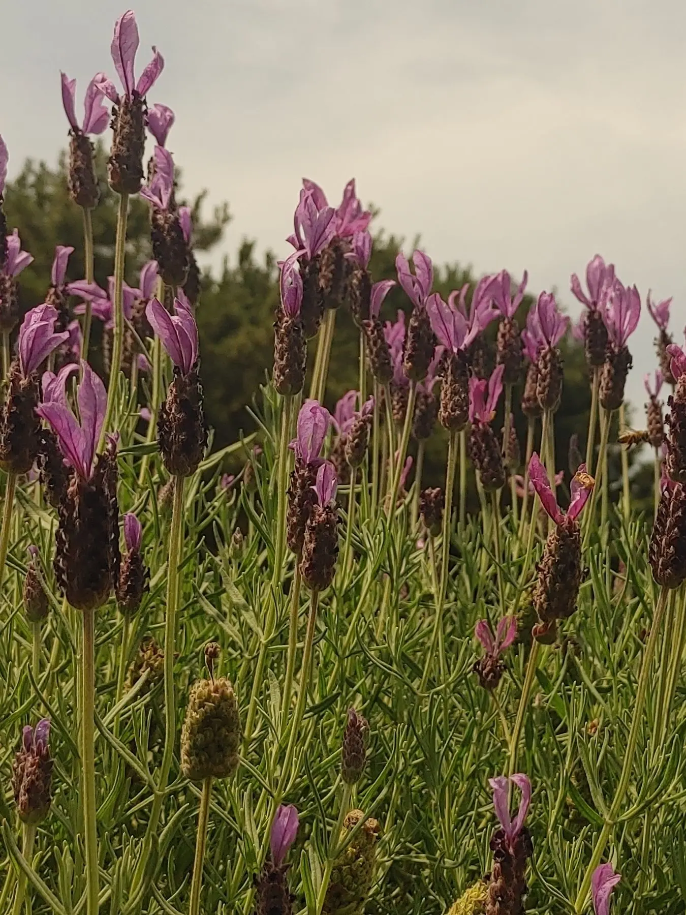 CattyBear5356의 윤서준