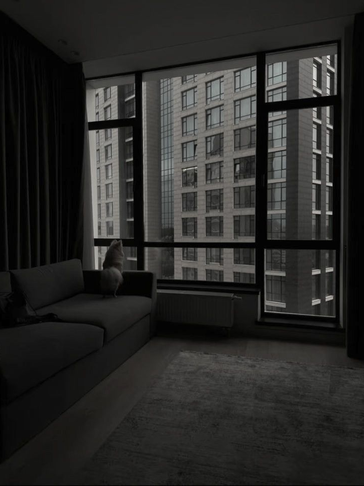 ㅤㅤㅤㅤ 대표 이미지