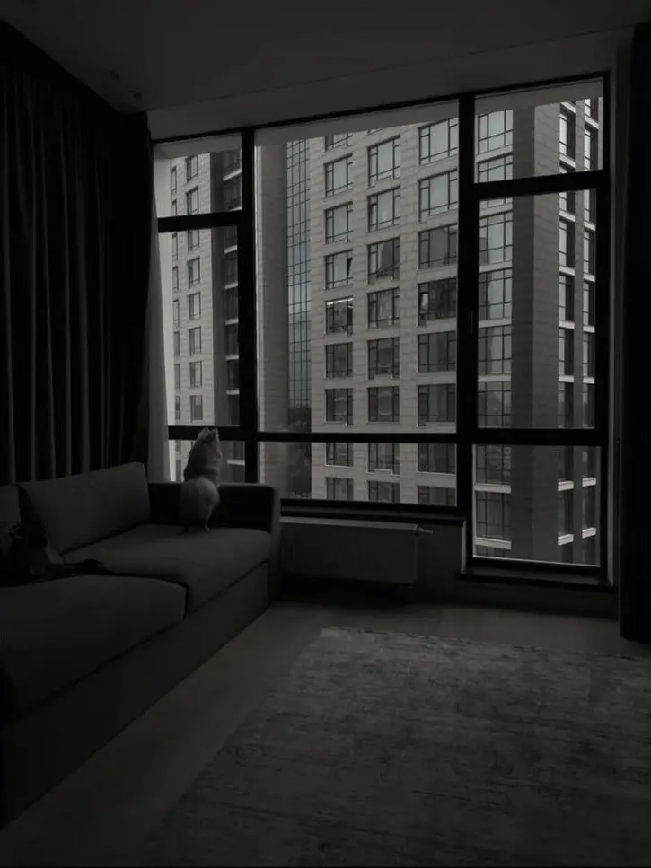 BiasedBeago8203의 ㅤㅤㅤㅤ