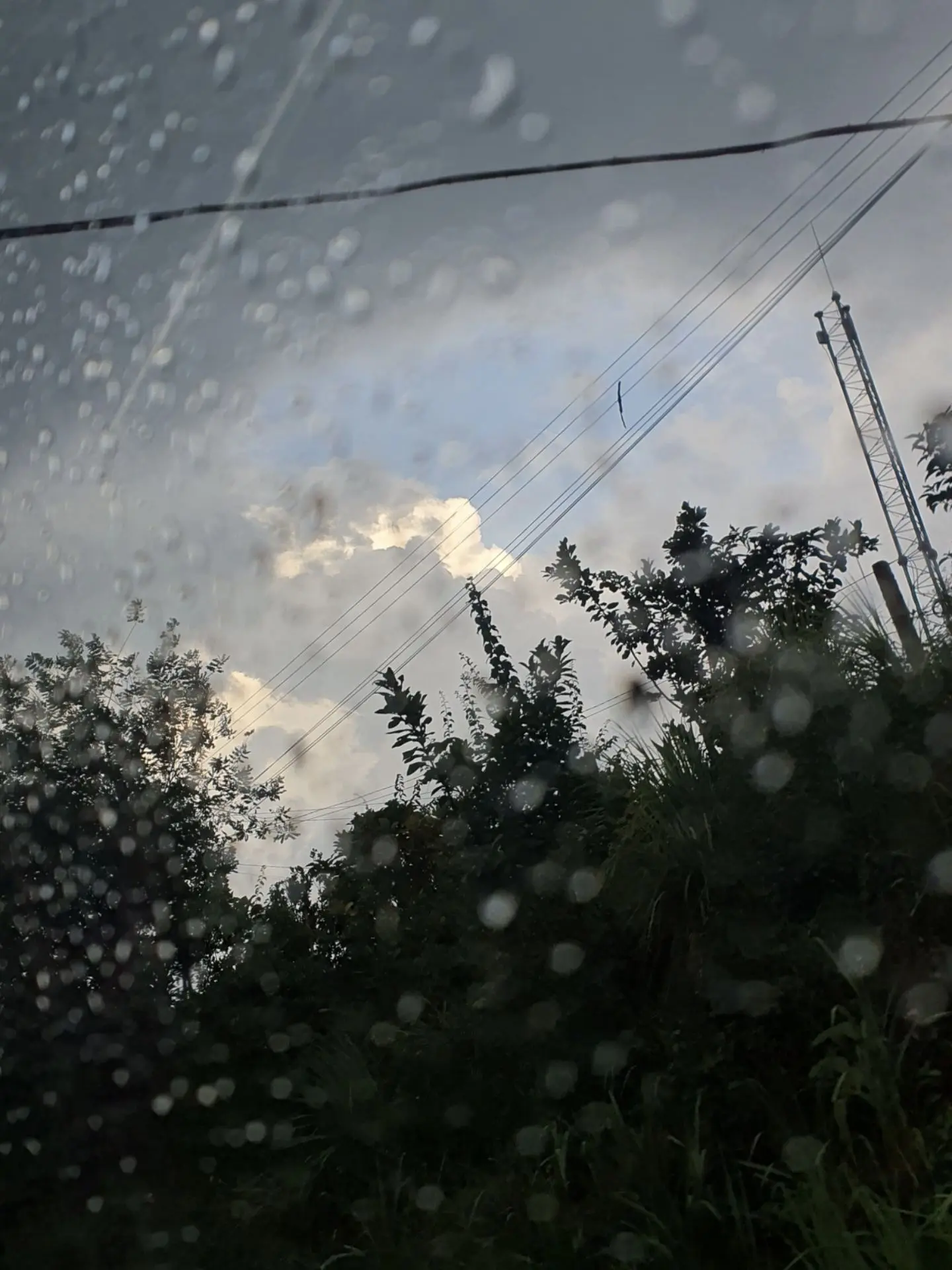 _InlandMoon0411의 SUNLIGHT