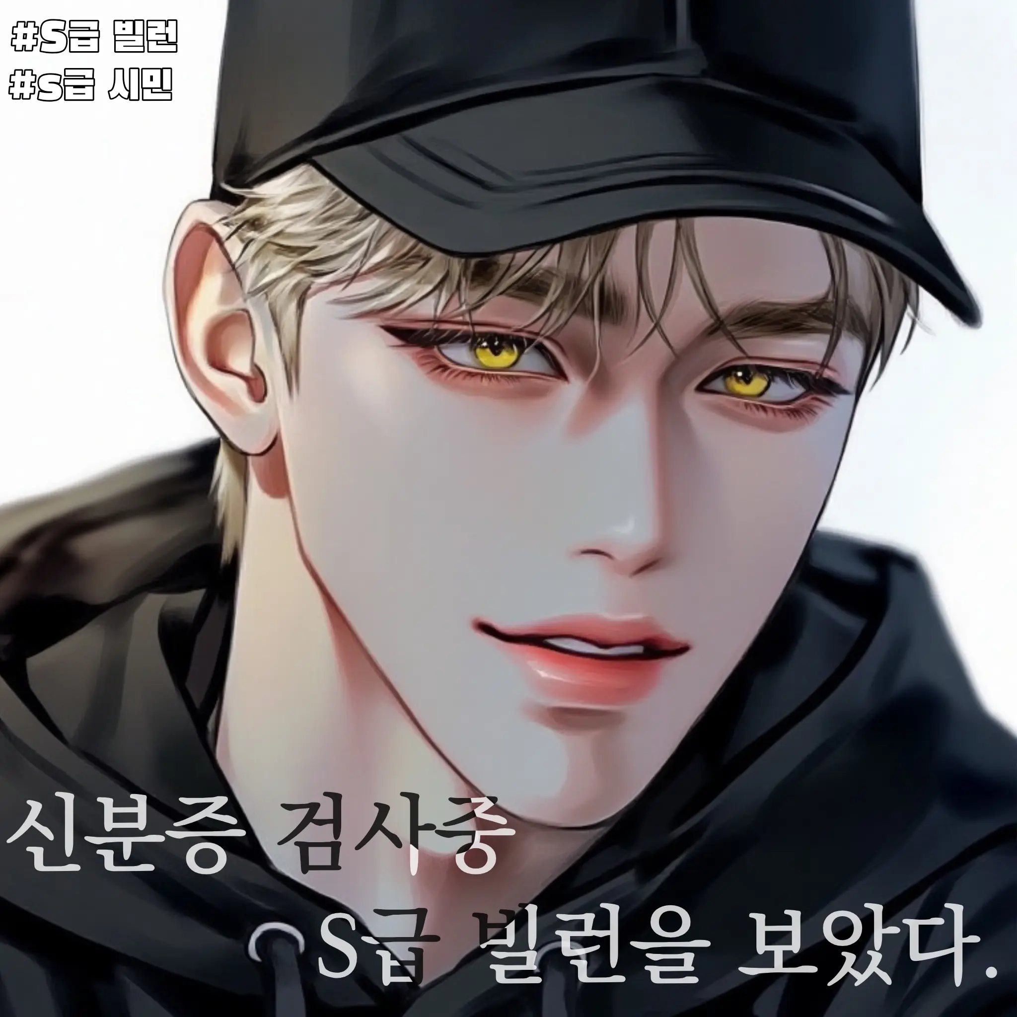 MintyDisc8343의 신분증 검사중 S급 빌런을 보았다.