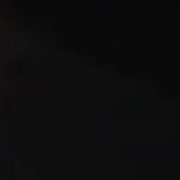 김동현
