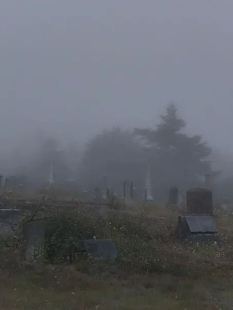 Ilovelimbus의 좋아해요.