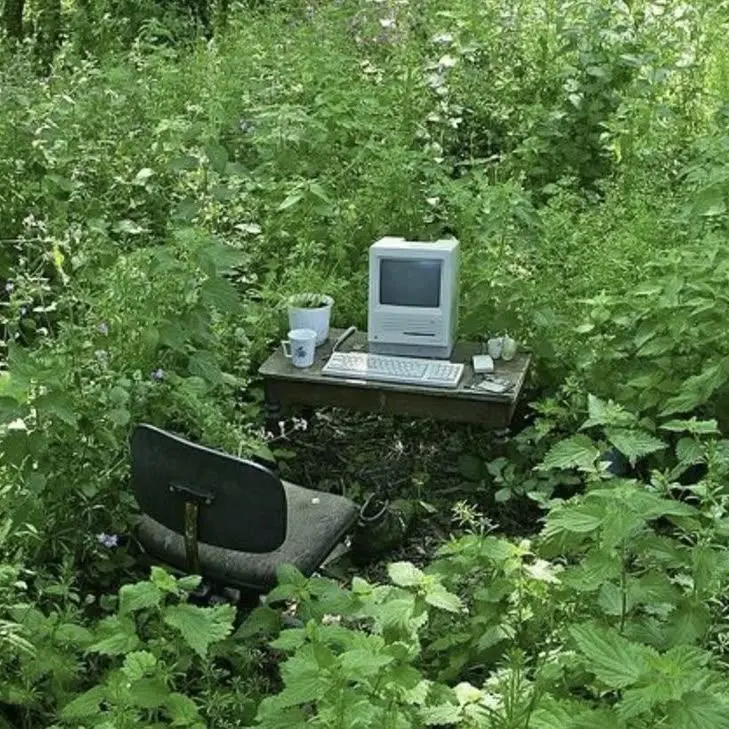 CrazyDog5347의 무단결석 1주