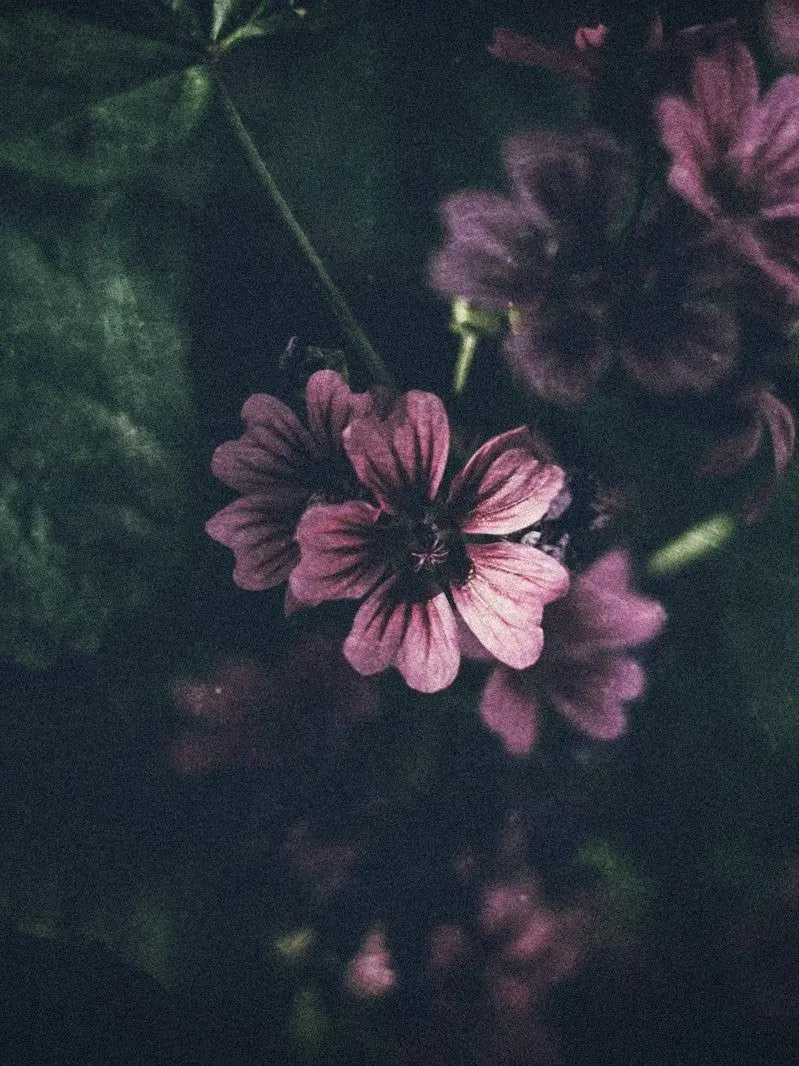 tukimi0111의 SNSって怖いよな(留伊)