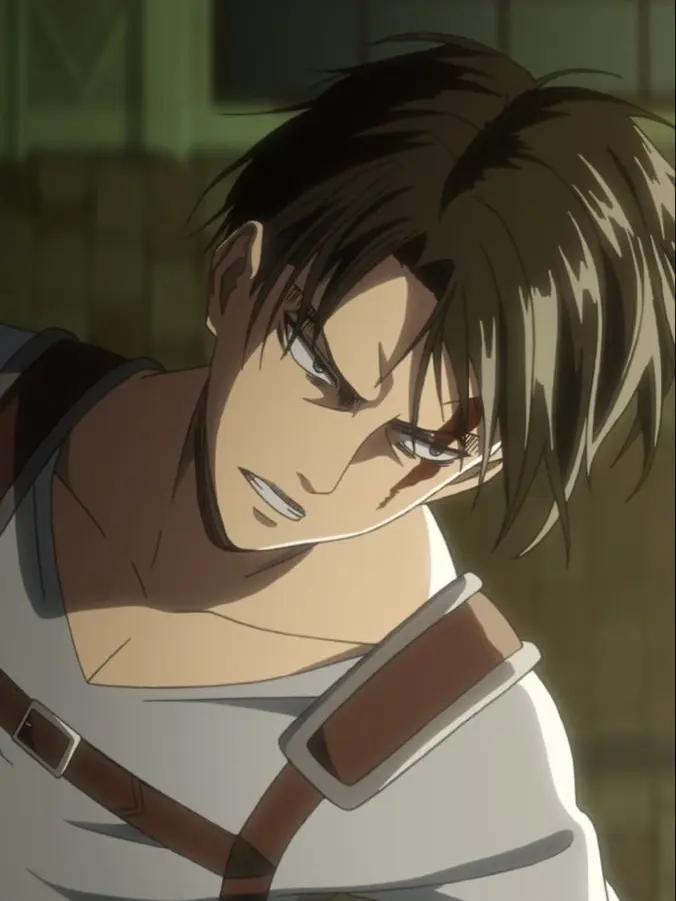 DeafMeat7143의 리바이 아커만