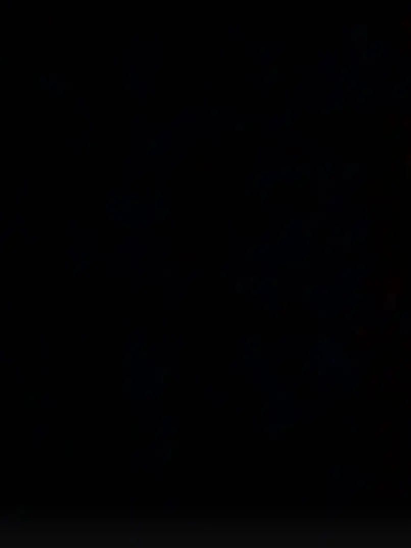 LovelySalty1427의 -