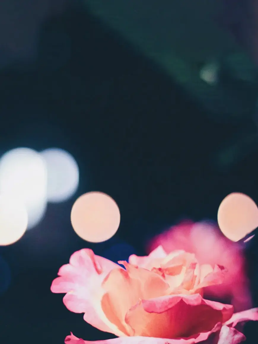 FluffyPie3946의 恐怖症