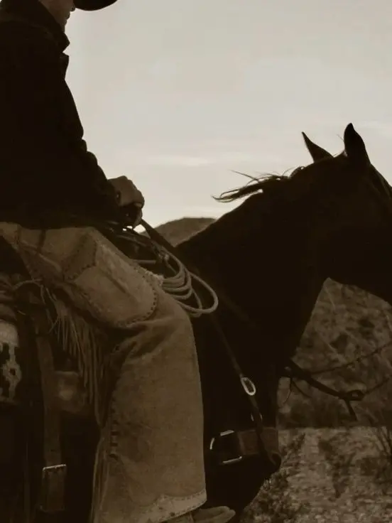 StingyMenu2264의 BL  | CowBOY meets a COWboy!
