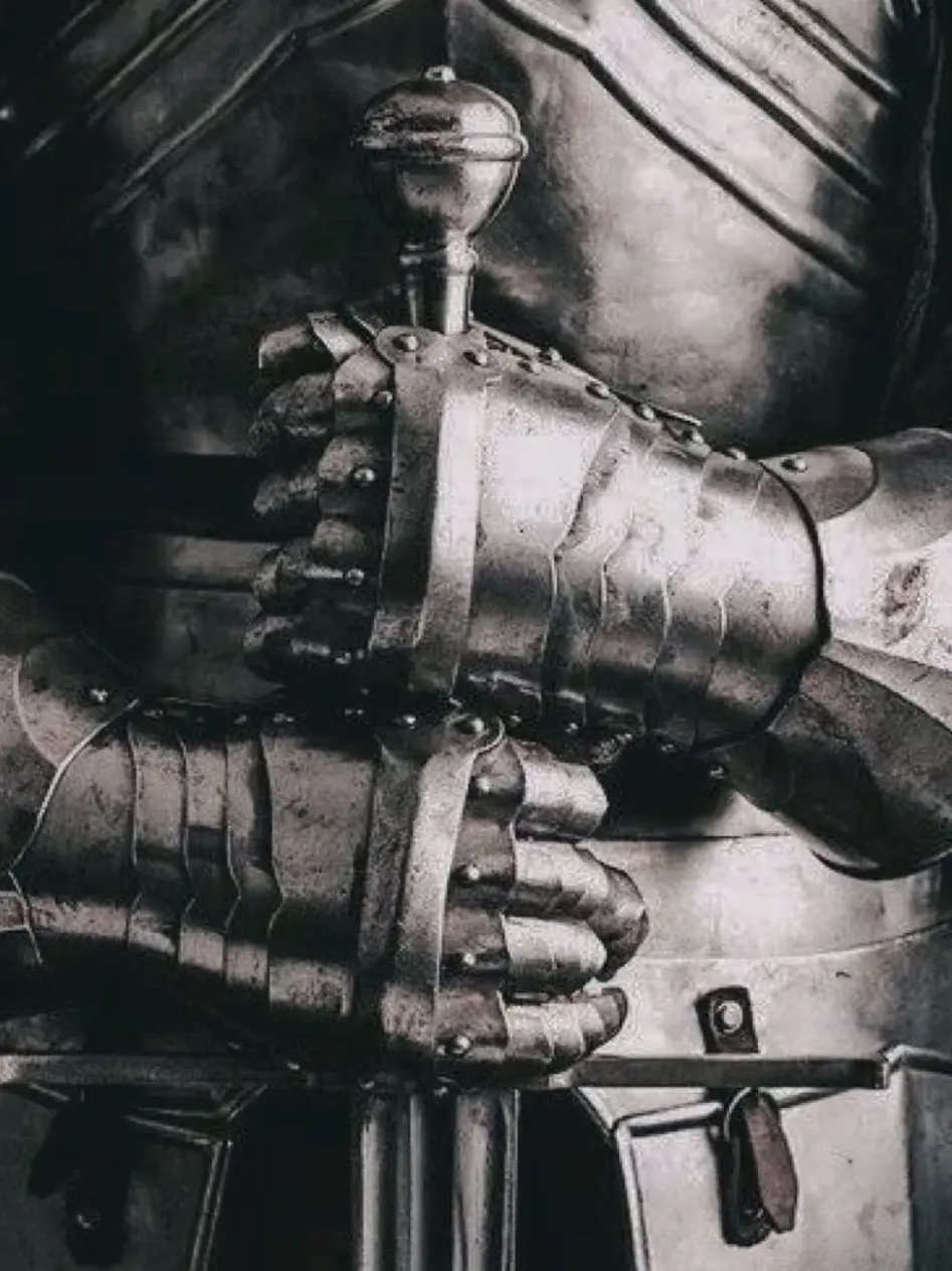 HeftyStudy7147의 Knight in shining armor