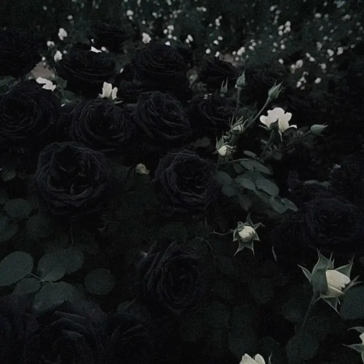 unconscious의 절애하는 나의 마녀에게,